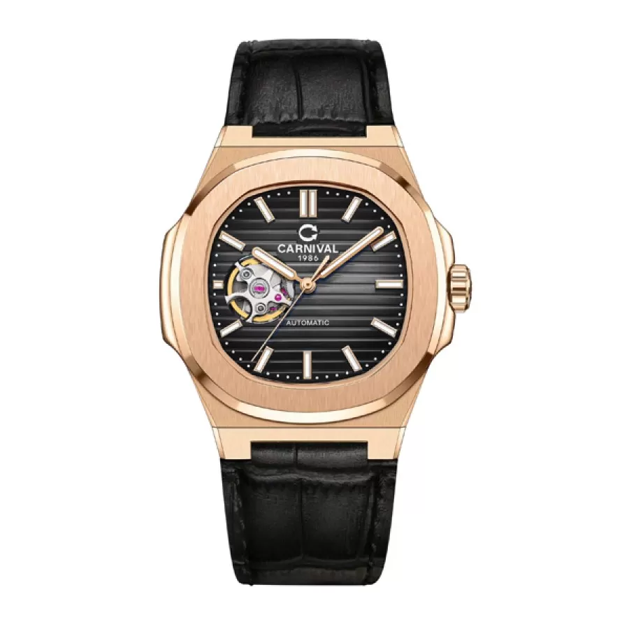 Đồng Hồ Carnival Nam 8128G1 ( 8128G1-VH-DD-D )