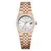 Đồng Hồ Alexander Ferros 8181R ( 8181R/02 )