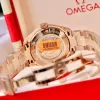 Đồng Hồ Nữ Omega Aqua Terra Master Co-Axial Chronometer 231.50.34.20.55.001 23150342055001